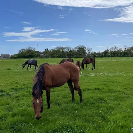 Дом отдыха Coninbeg By Trident Homes Килмор-Ки