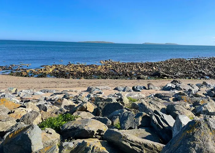 Coninbeg By Trident Homes