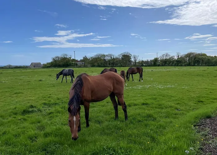 Σπίτι διακοπών Coninbeg By Trident Homes Kilmore Quay